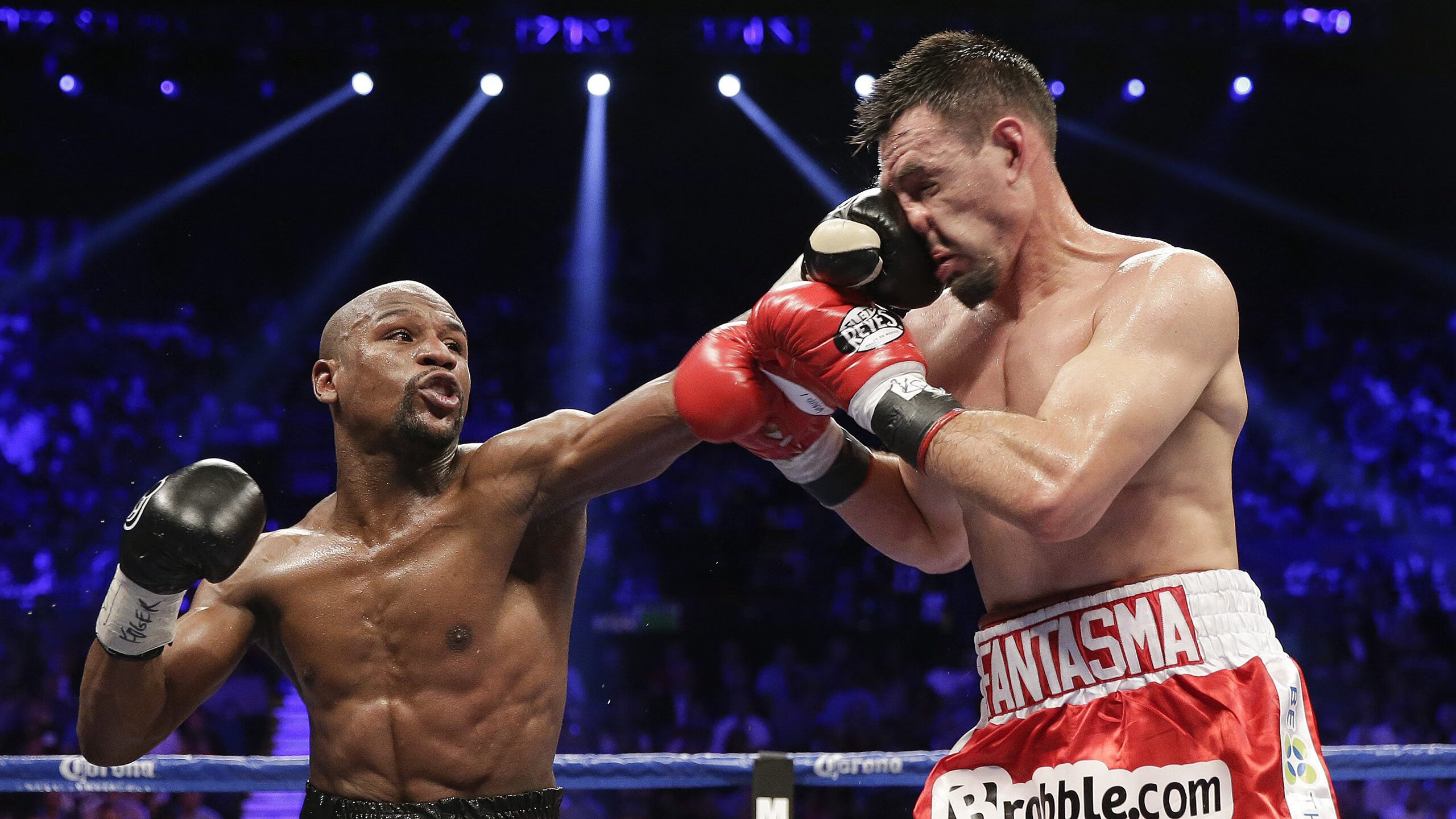 游泳世锦赛，泳坛健儿再续佳绩，游泳世锦赛个人金牌排名